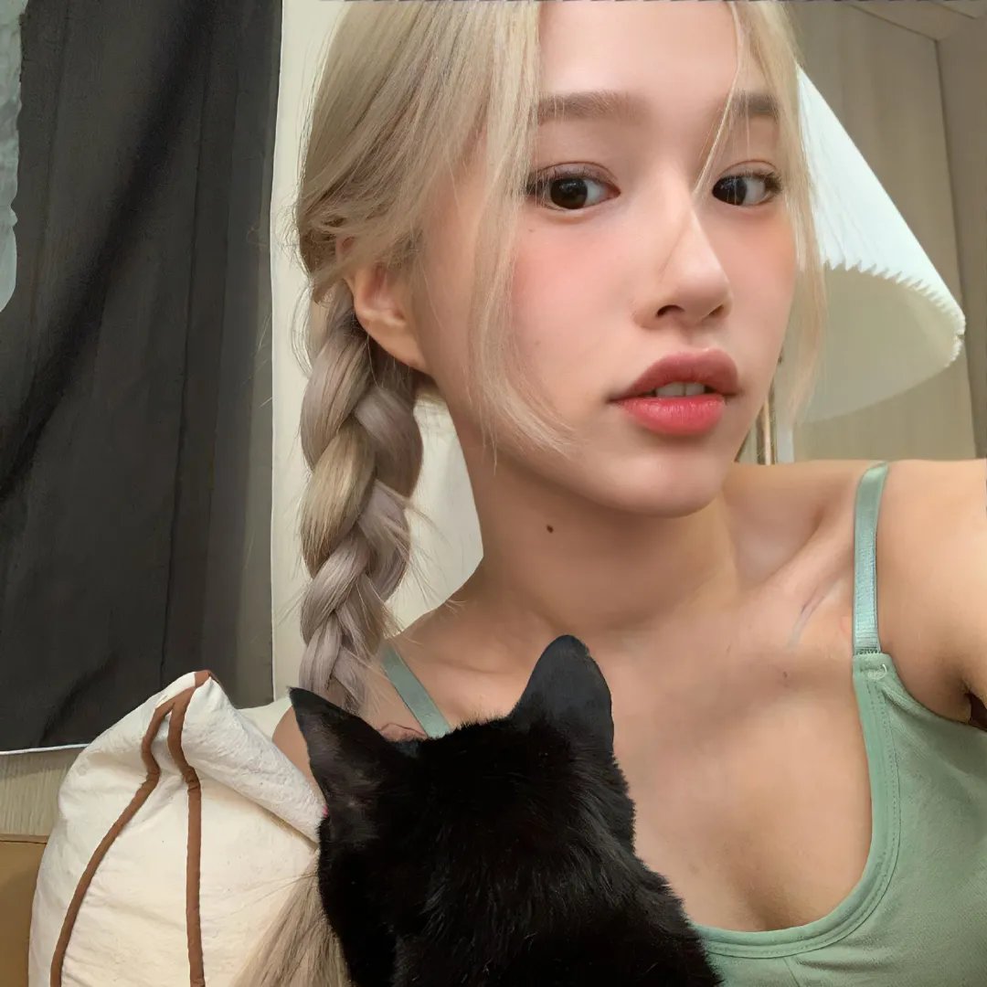 红狐