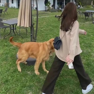 富江2:另一张面孔